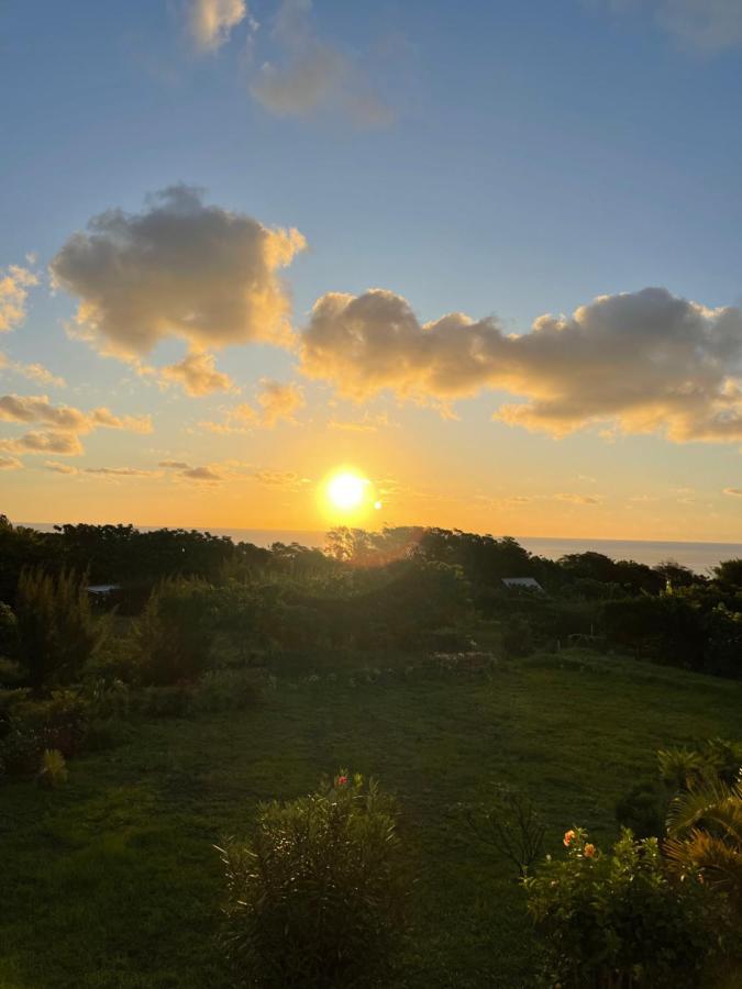 Teanehi Bed & Breakfast Hanga Roa Exterior photo